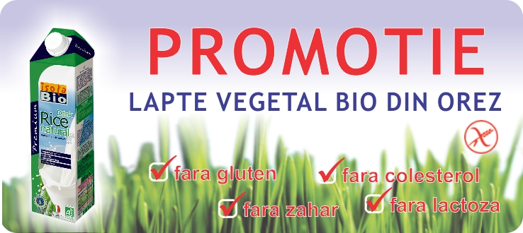 Lapte vegetal bio