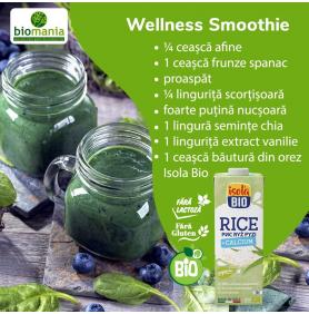 Wellness Smoothie verde