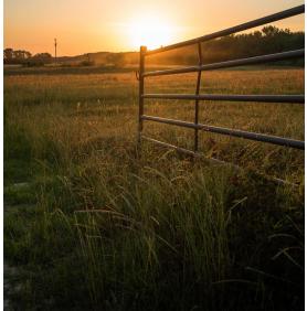 Cum sa faci bani “ecologici” cu investitii mici 